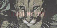 I Love My Type